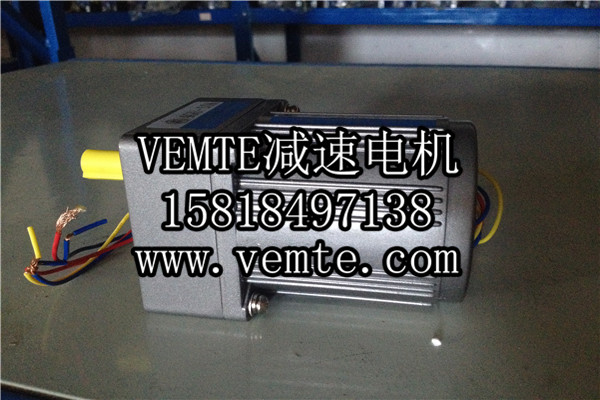 小電機(jī)，小型調(diào)速電機(jī),微型減速電機(jī) (2)